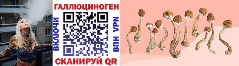 Галлюциногенные грибы Psilocybe Белогорск